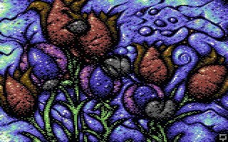 Flowers and we rock (Commodore 64)