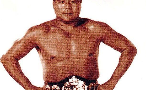 World of Mixed Martial Arts 2 érkezés