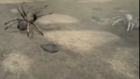 Deadly Creatures versengés