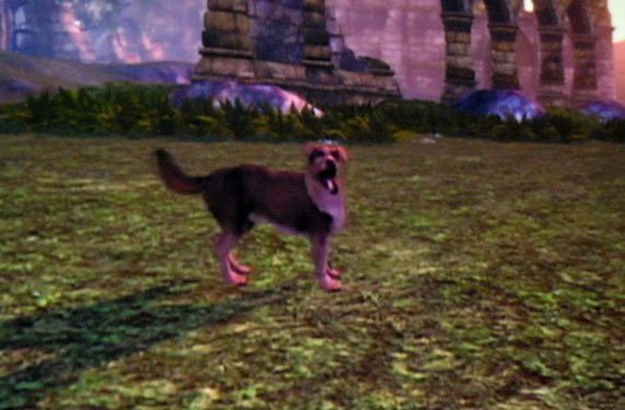 Fable 2: Knothide Island – ismét a kutyus?