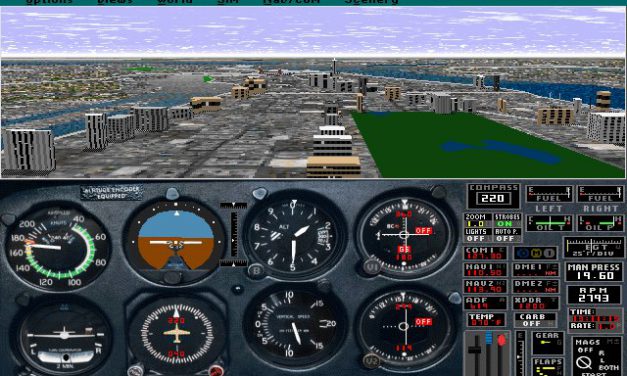 Flight Simulator 5: New York
