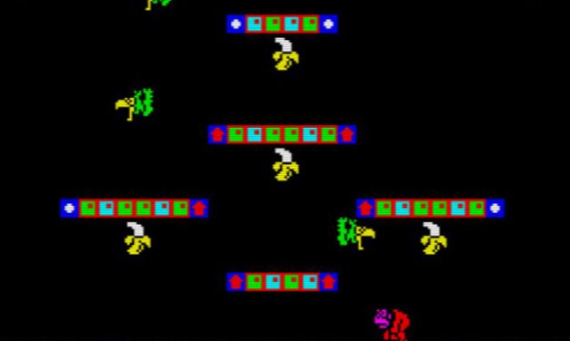 Bubble Monkey Bro’s (ZX)