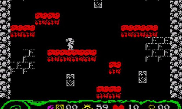 Rabbit in Wonderland (ZX)