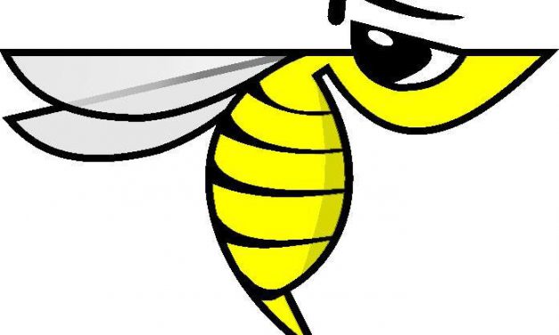 Visszatér a W.A.S.P. Spectrumra