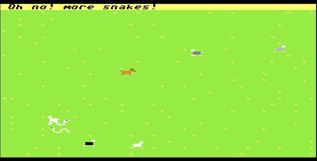 Velcro, avagy a birkakutya kalandjai