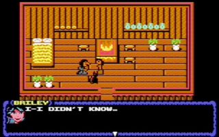 Briley Witch Chronicles (C64)